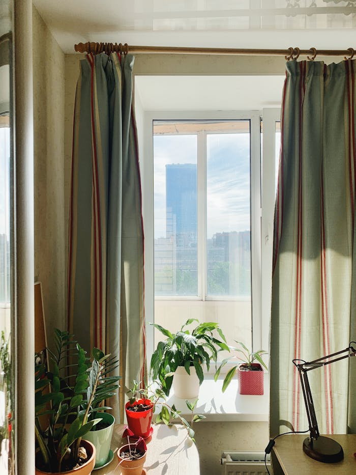 Sunlit indoor window with curtains and potted plants, offering a cozy atmosphere in Sankt-Peterburg, Russia.